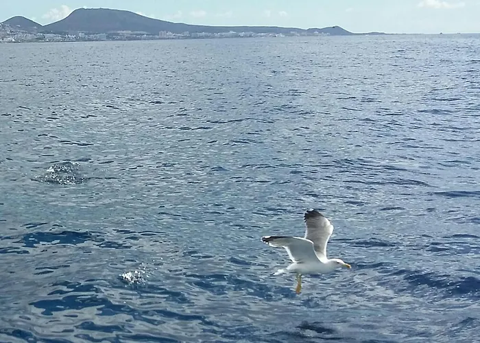 Close To Golden Mile 아파트 *